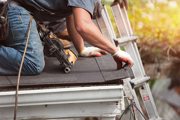 Best Storm Damage Roof Repair  in Landover Hills, MD